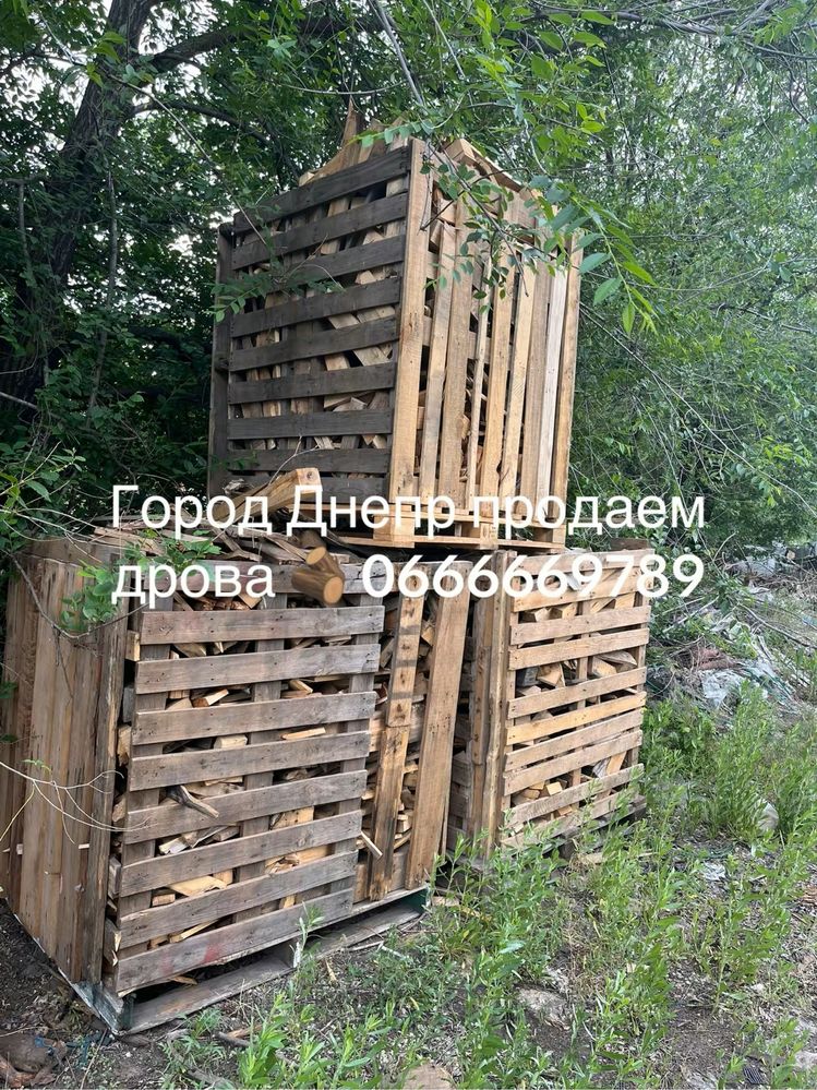 Продам поддоны и дрова