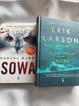 Skandynawski thriller Sowa S.Bjork Grom z jasnego nieba E.Larson