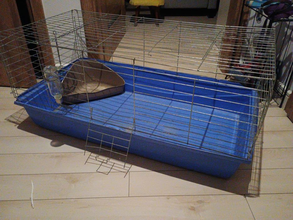 Oddam za darmo klatkę dla królika