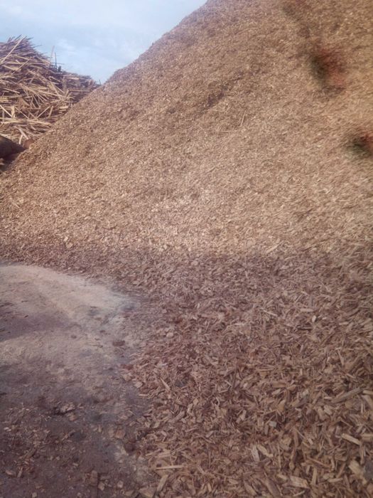 Zrębka drzewna Tartaczna