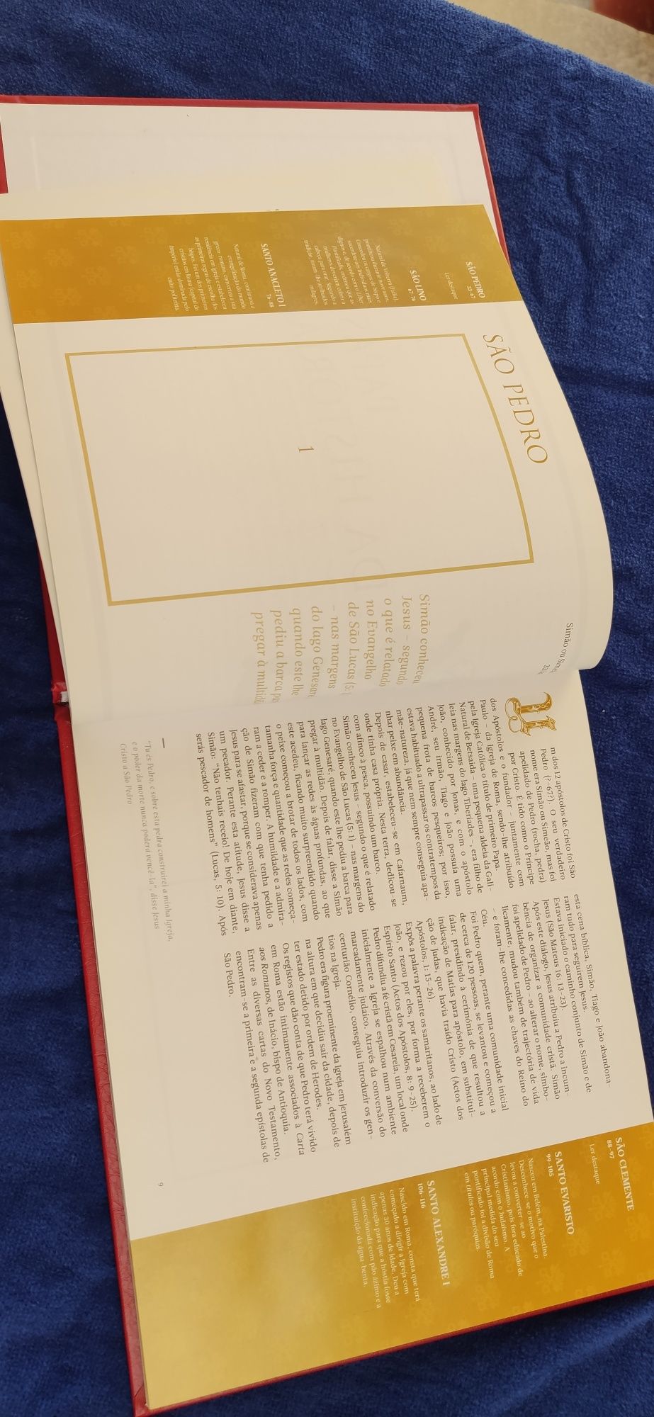Livro dos Papas (novo)