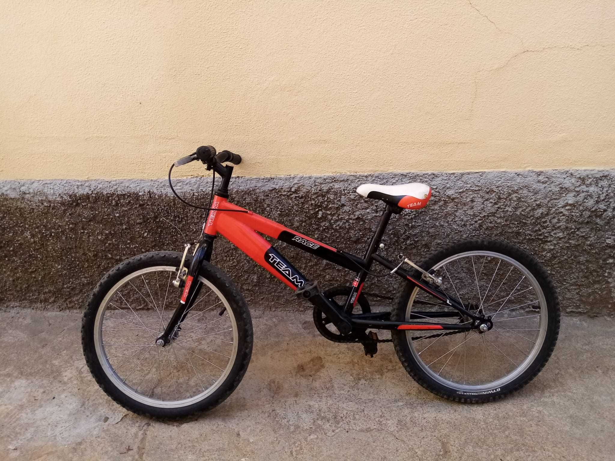 Bicicleta "Team"