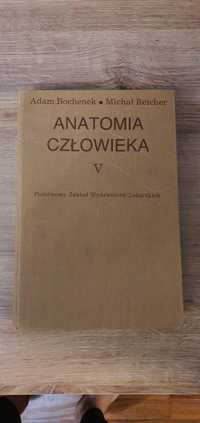 Anatomia Człowieka Bochenka A.Bochenek tom 5