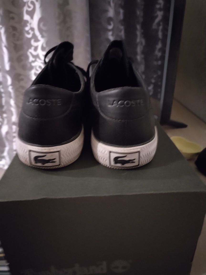 Кеди чоловічі Lacoste.