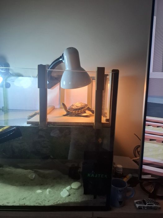 Wyspa 3D dla żółwia – wsuwana do akwarium