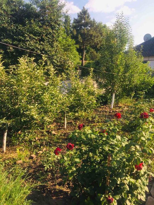 Продам дом в г. Апостолово