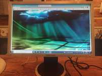 Idealny Monitor 19" Samsung z matową matrycą o regulowanej wysokości.