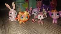 Littlest Pet shop