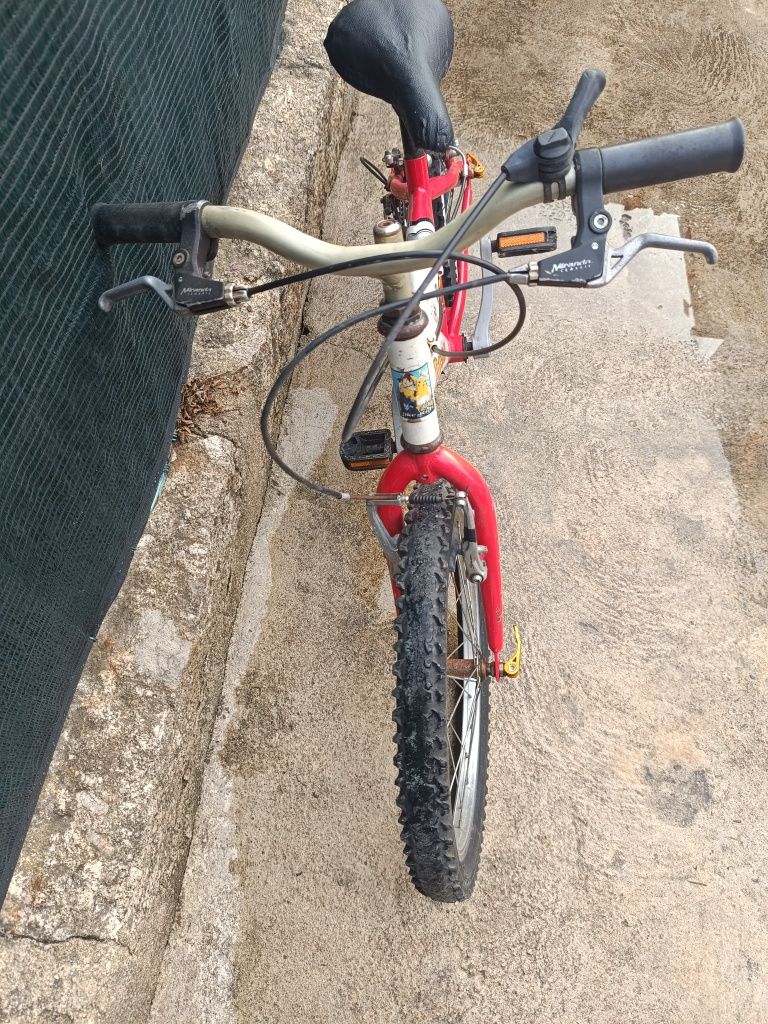 Bicicleta roda 24