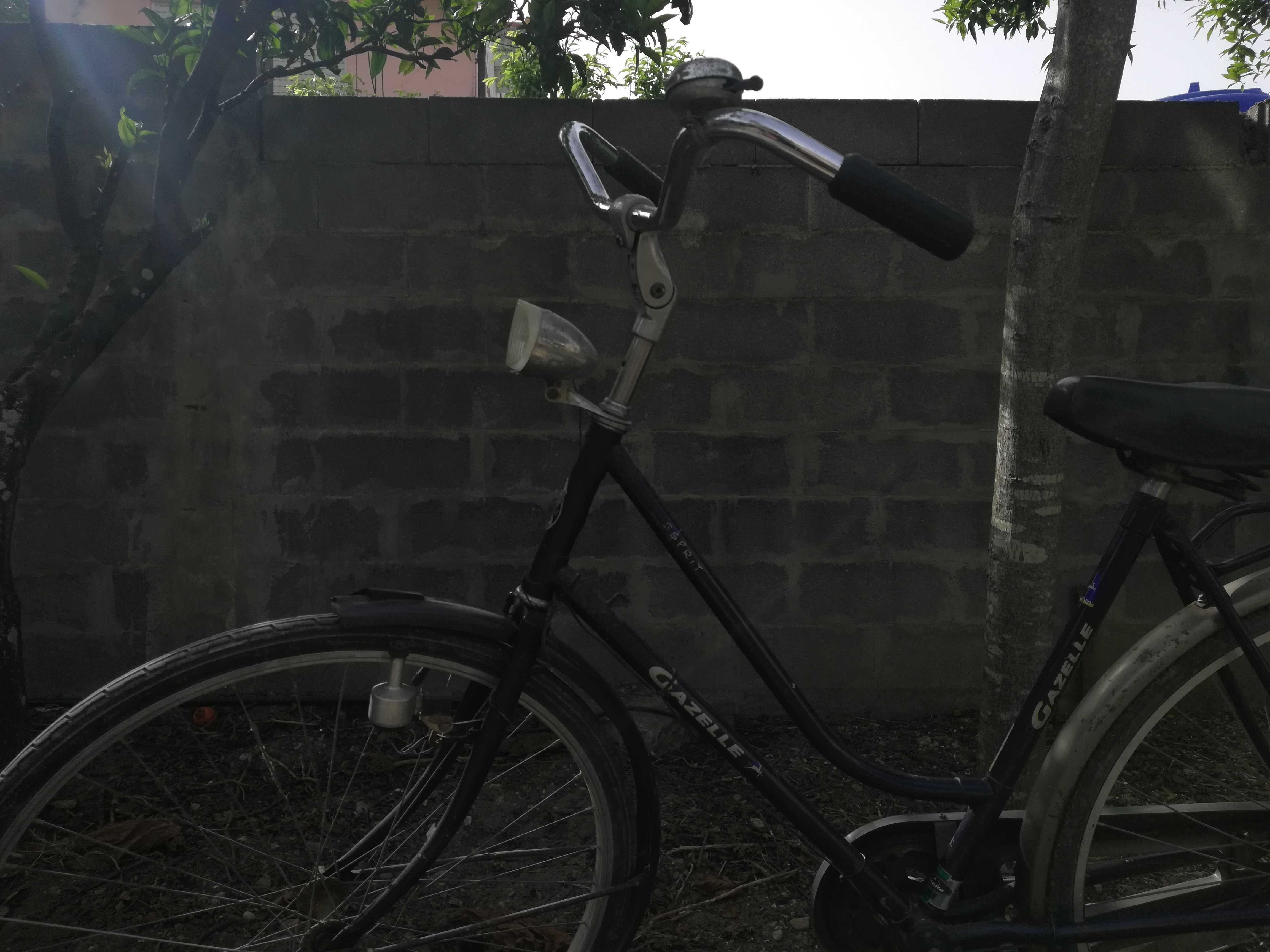 Bicicleta Gazelle
