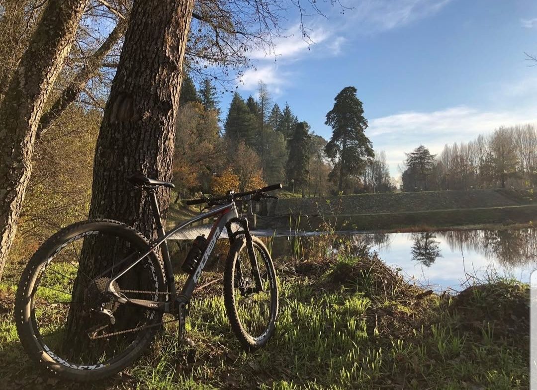 Bicicleta QUER CXR 29'