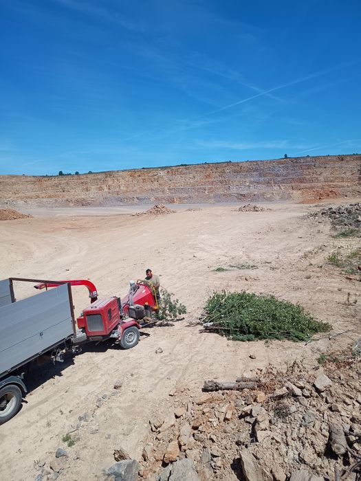 Usługi rębakiem mielenie gałęzi wycinka drzew