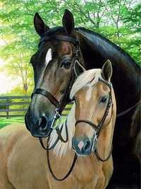 Malowanie Po Numerach Konie Obraz z Ramą 40x50