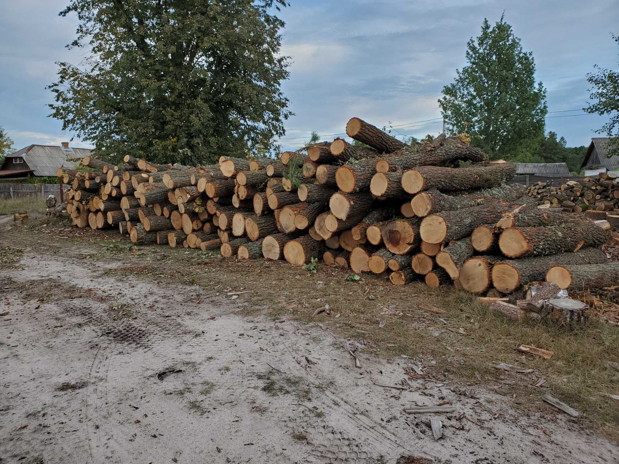 Продам дрова ДУБ, Сосна, Береза, вільха, акация