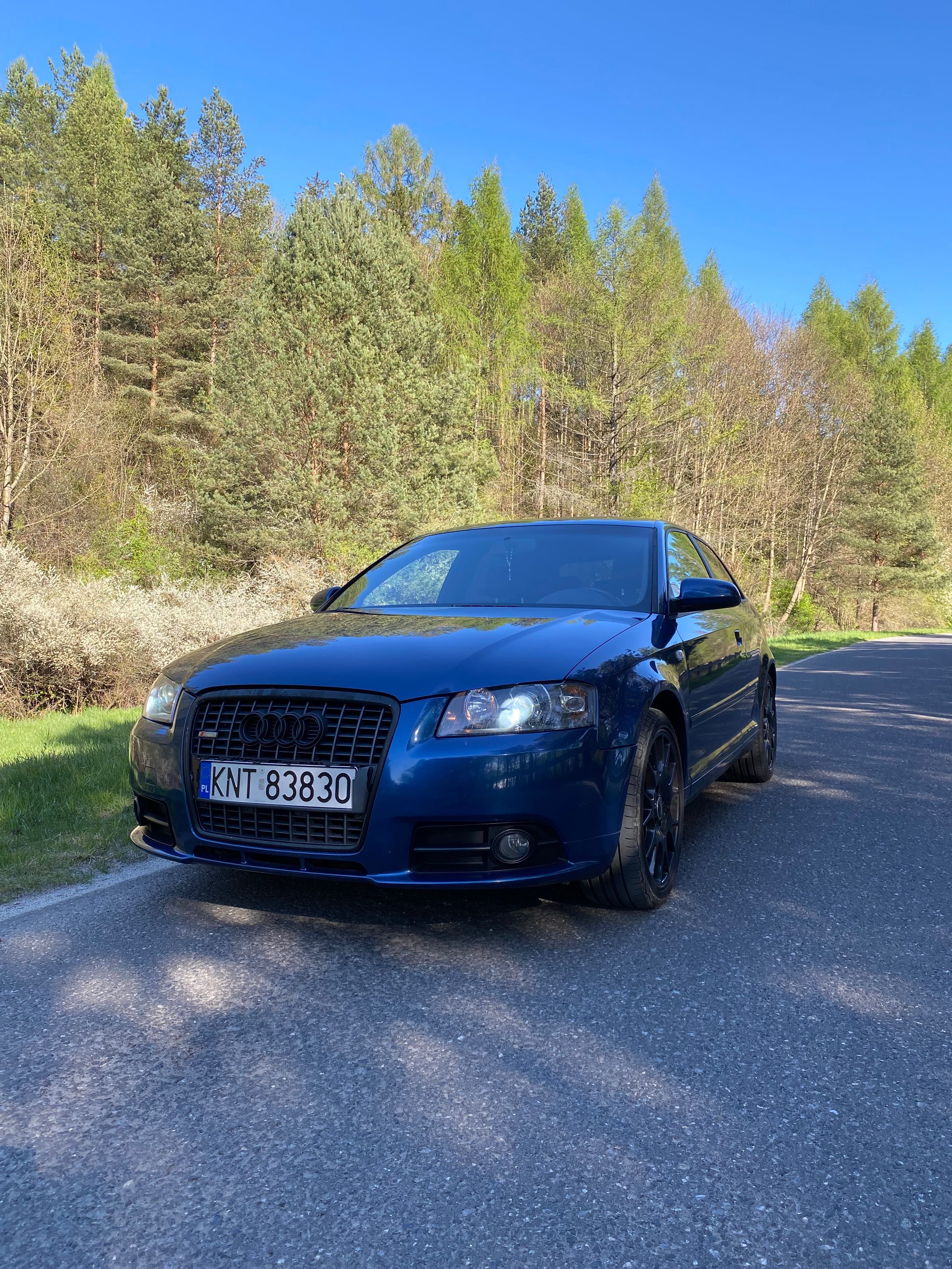 Audi a3 8P 2.0FSI