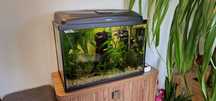 Akwarium Aquael 72l stan idealny