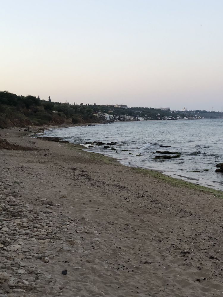 Сдам квартиру студию  Совиньон ,рядом супер маркет Таврия - В