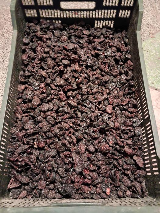 Śliwki suszone bez pestek