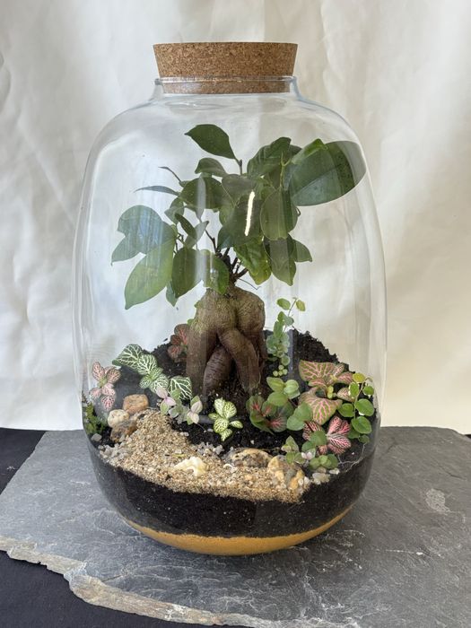Terrários fechados