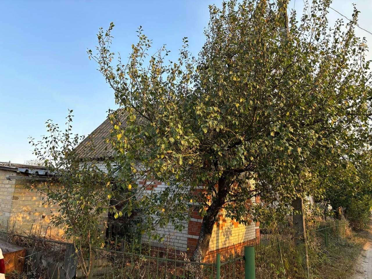Продається дача у селі Хомине (Чисті Пруди) Сумської міської громади