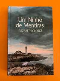 Um Ninho de Mentiras - Elizabeth George