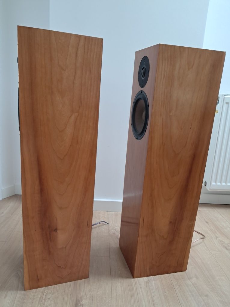 Kolumny głośnikowe DIY Scanspeak + Seas