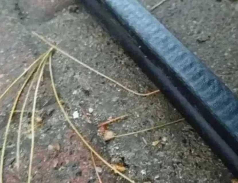 Polonez Caro Atu Plus uszczelki drzwi orginał profilowane bdb