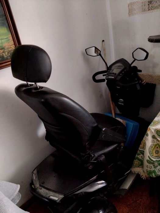 Socter pantera otimo eatsdo