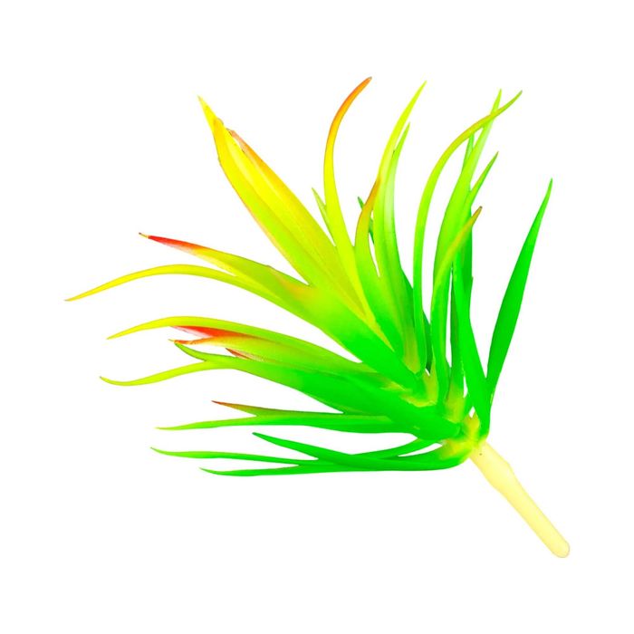 Roślina sztuczna – Tillandsia Brachycaulos Abdida Green – Rozmiar M