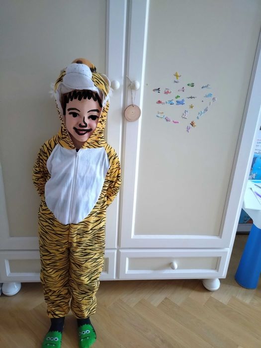 Strój tygryska, stan BDB, r. 116