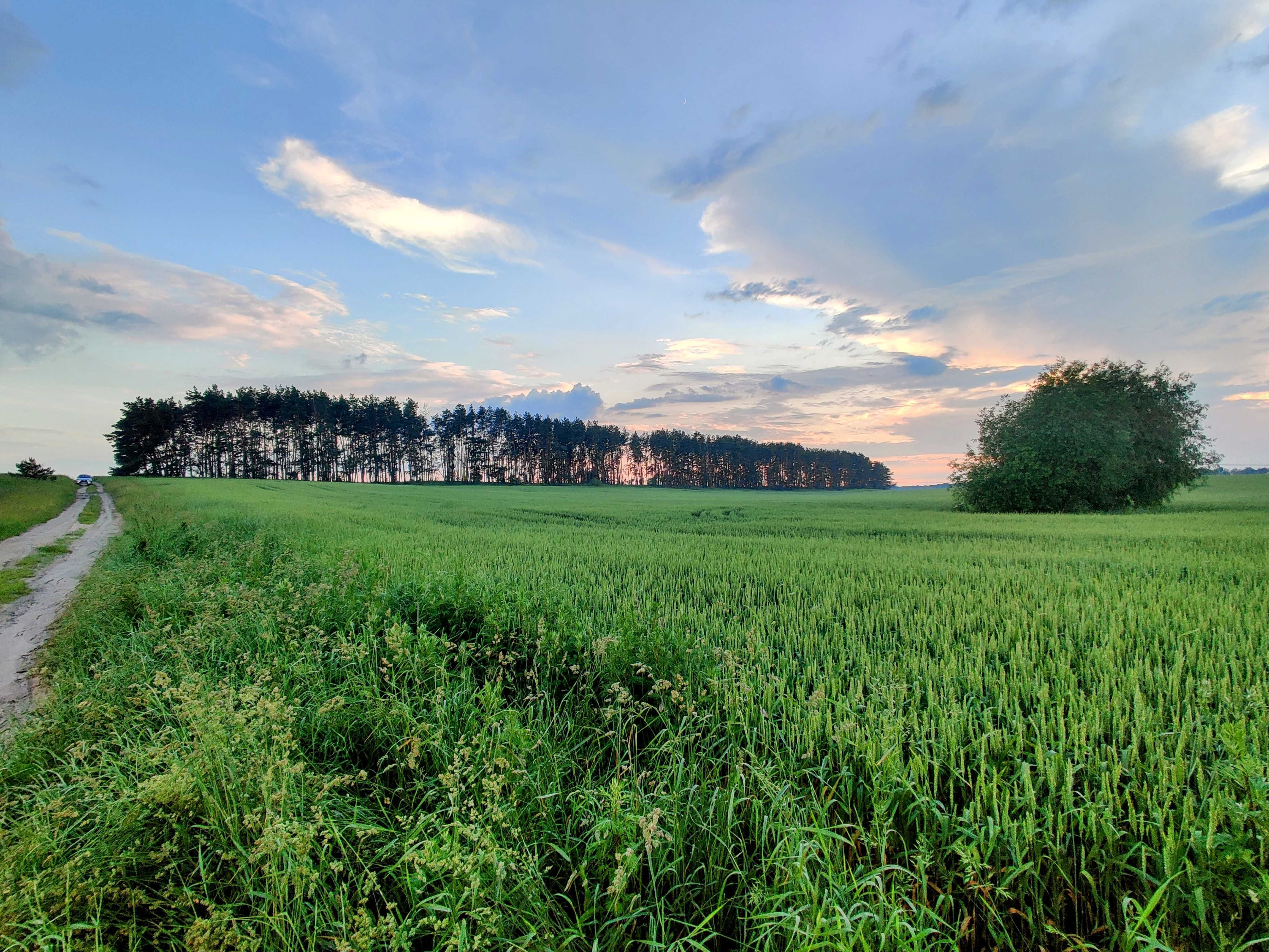 Продаж ділянки 6 га під під БУДЬ-ЯКЕ ПРИЗНАЧЕННЯ, можна частинами