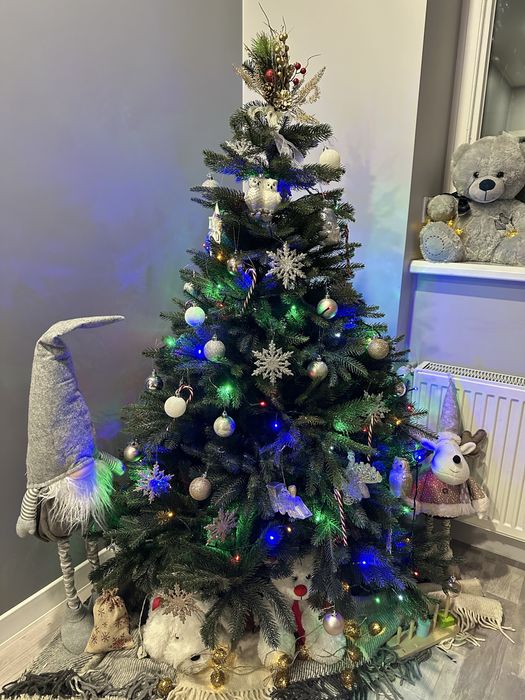 Продаж ялинки  1,5 м