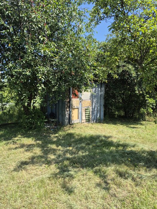 Дача.Березанка, с/т Снов'янка