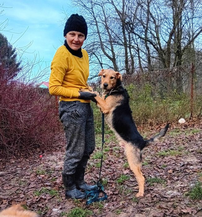 NUGGET - 10-miesięczny, łagodny, wesoły, kochający.