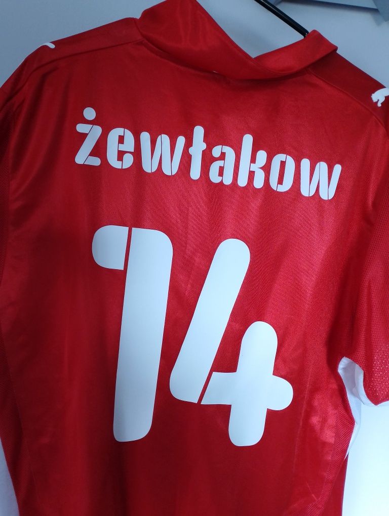 Koszulka meczowa (match worn) Reprezentacja Polski Michał Żewłakow Eur