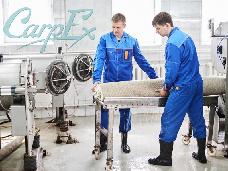 Чищення килимів №1 в Святошинському районі Акція 150грн/м² Дезінфекція