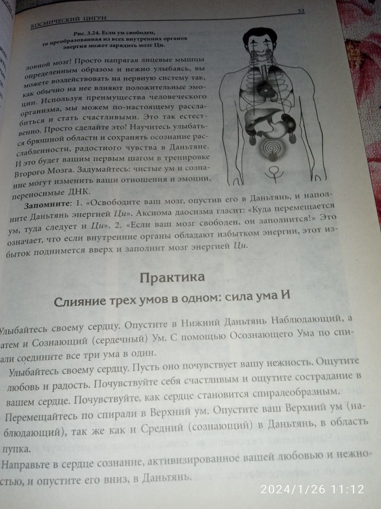 Исцеление космосом. Мантек Чиа.