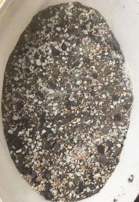 Найбіль оптимальний і кращий грунт для кактусів сукулентів