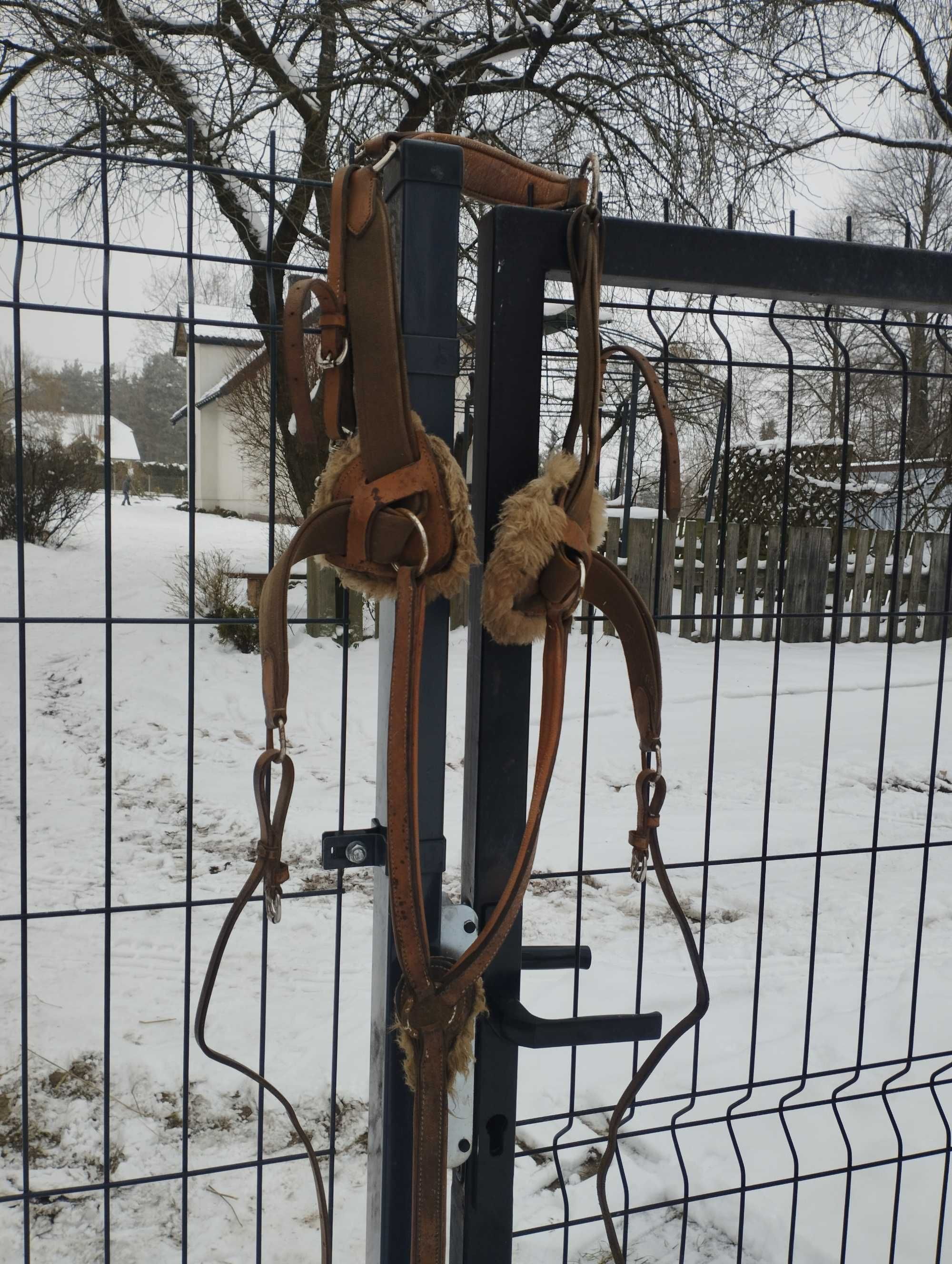 Napierśnik + ogłowie sprzedam lub zamienię