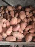 Tenho batata doce
