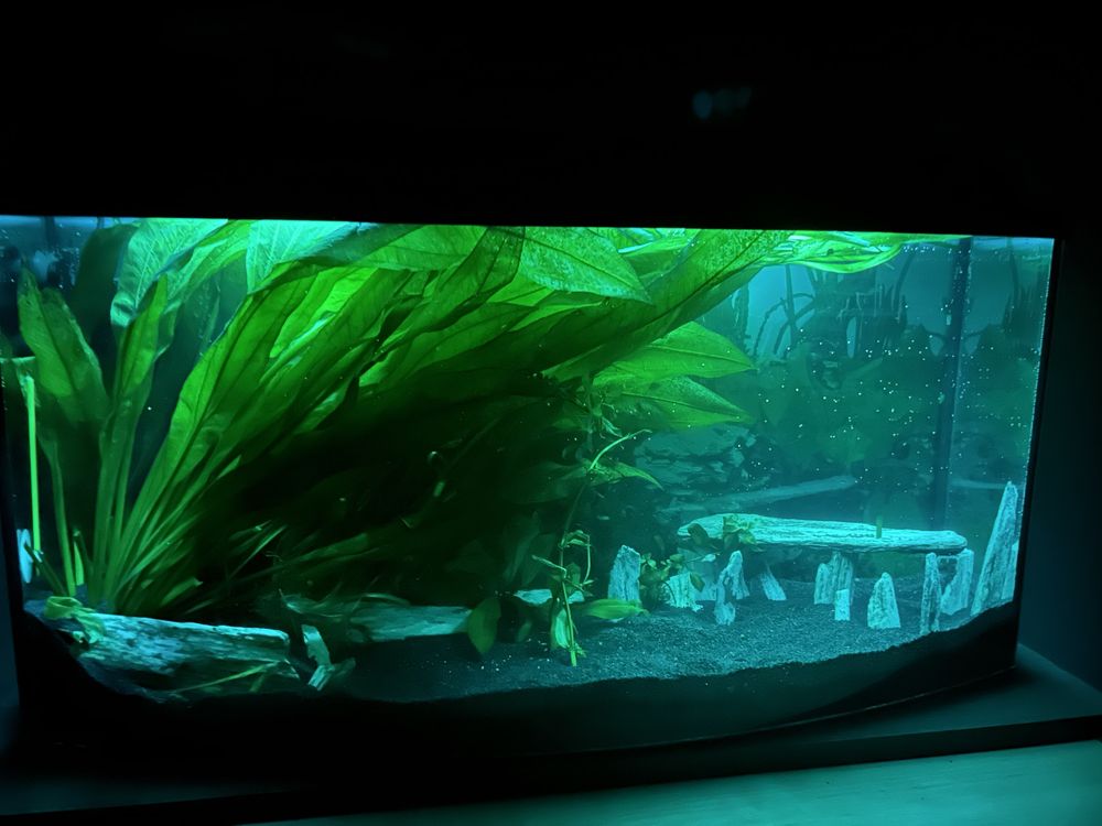 gotowe z życiem ! Akwarium 140l pokrywa LED pilot full wypas!
