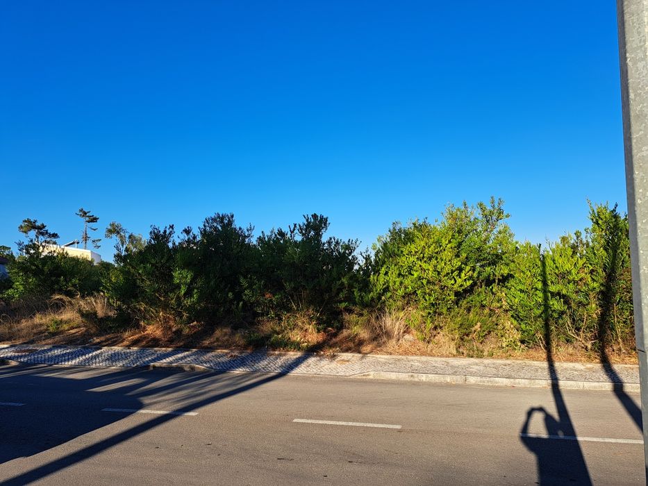 Limpeza de terrenos jardins vedações