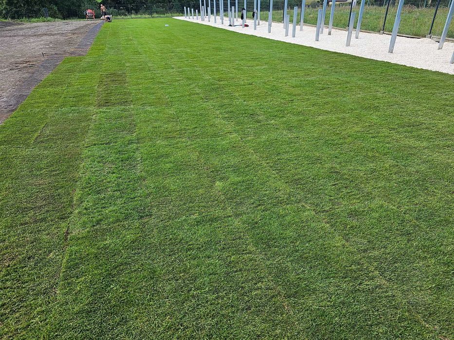 Pielęgnacja ogrodów/zakładanie ogrodów/nawodnienie/ogrodzenie panelowe