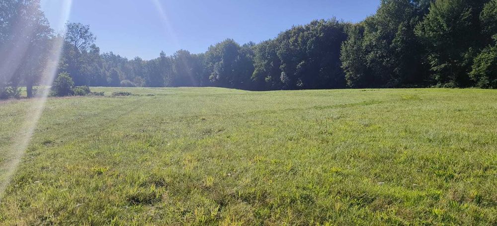 Działki budowlane Świeszyno – cisza, spokój, dojazd