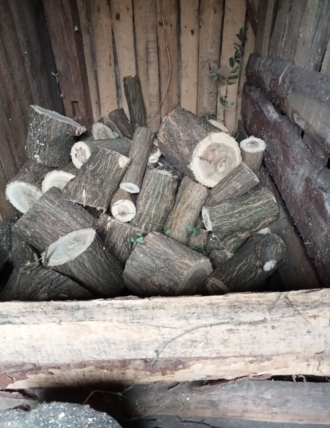 Drewno opalowe akacja    .
