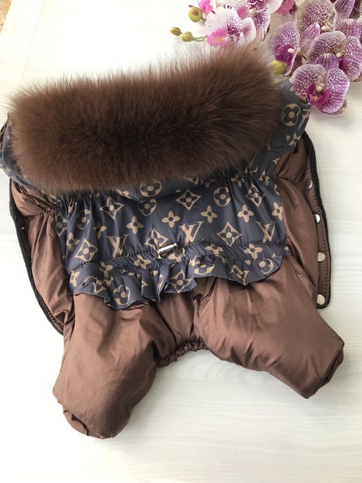 Одежда для собак