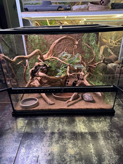 Терраріум та обладнання для хамелеона, гекона, ігуани, пітона, полоза