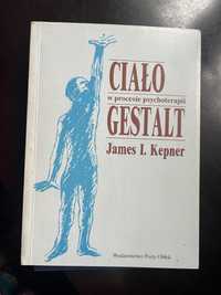 Ciało w procesie psychoterapii Gestalt   James I. Kepner