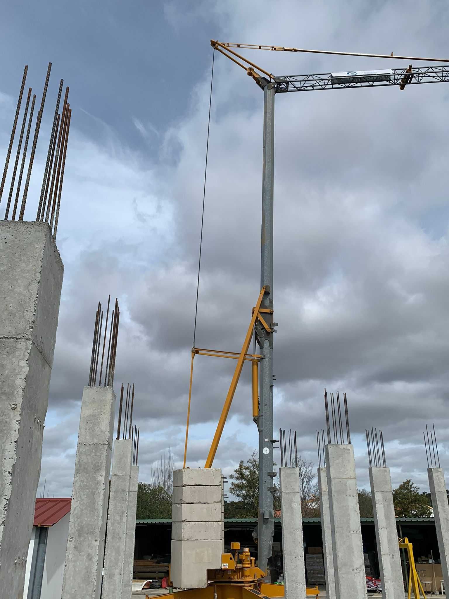 Grua Auto montante POTAIN