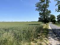 Sprzedam ziemie orna